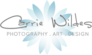 carrie wildes photography